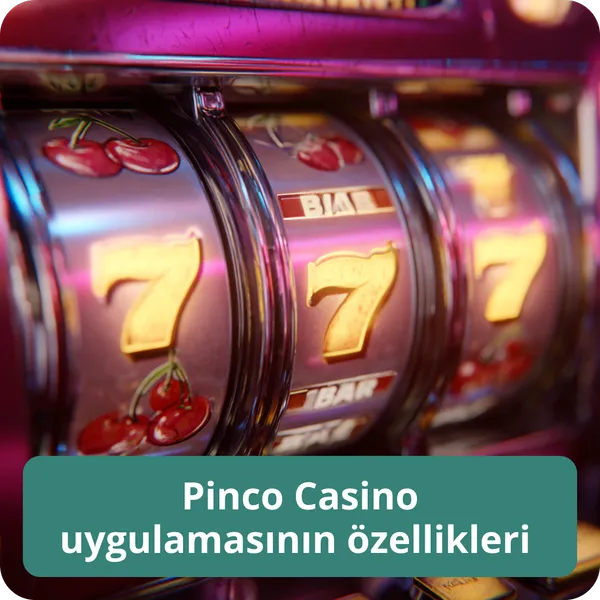 Pinco Casino uygulamasının özellikleri – performans, arayüz ve hız Pinco Casino uygulamasının özellikleri